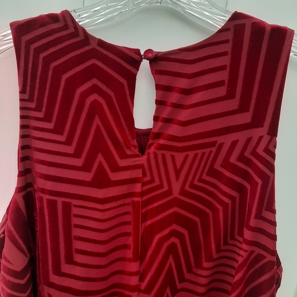 Anthropologie Sunday in Brooklyn Textured Red Velvet Tank Top Size S - Picture 7 of 11